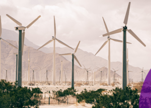 Ventient Energy Wind Farm ThinkShare Portfolio